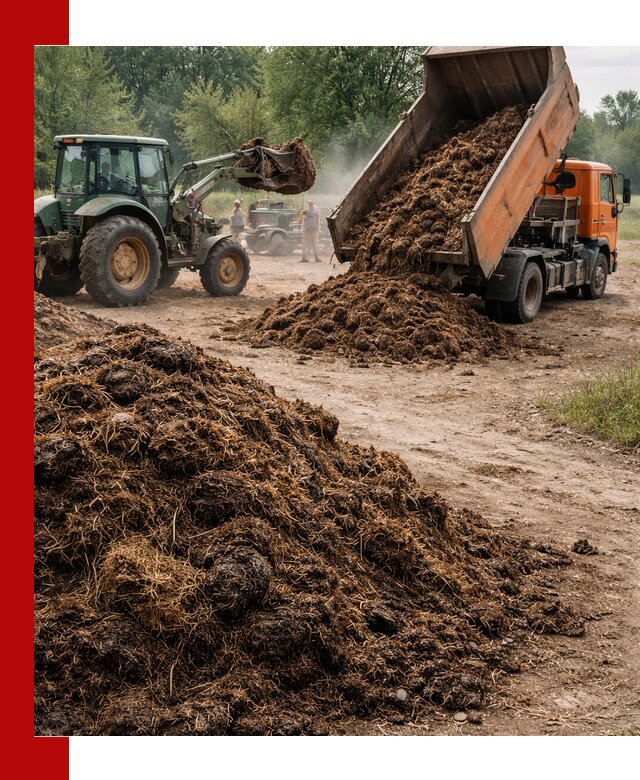 Доставка навоза самосвалами в Мценске для сельхозпотребностей