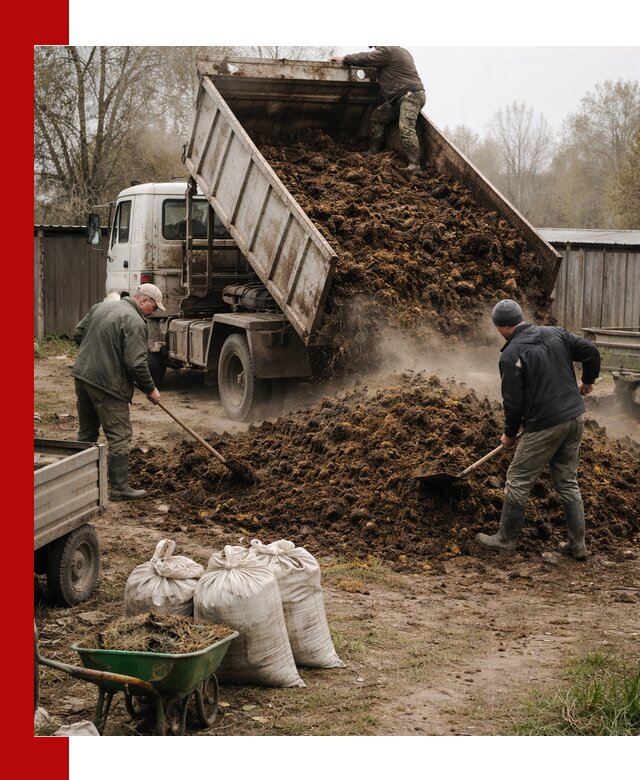 Доставка коровьего навоза самосвалом в Мценске